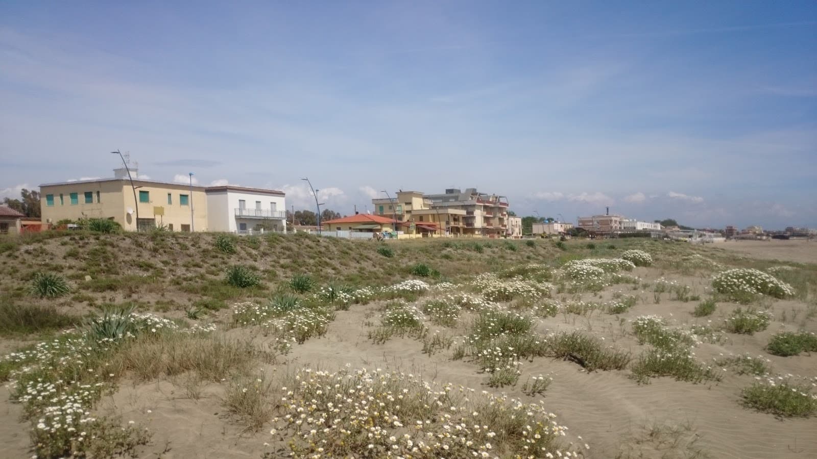 Spiaggia di Capo Portiere — foto 5
