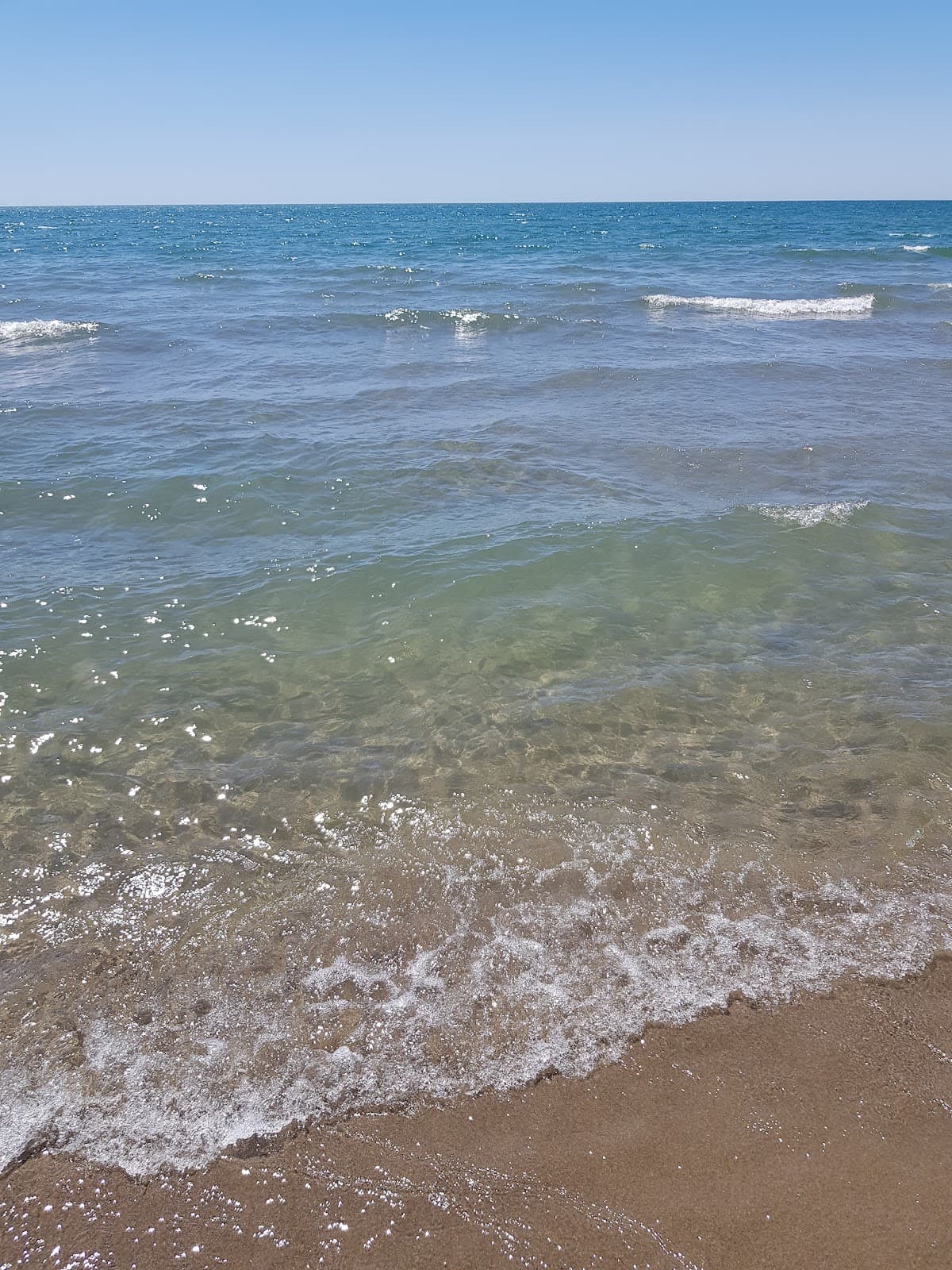 Spiaggia di Capocotta