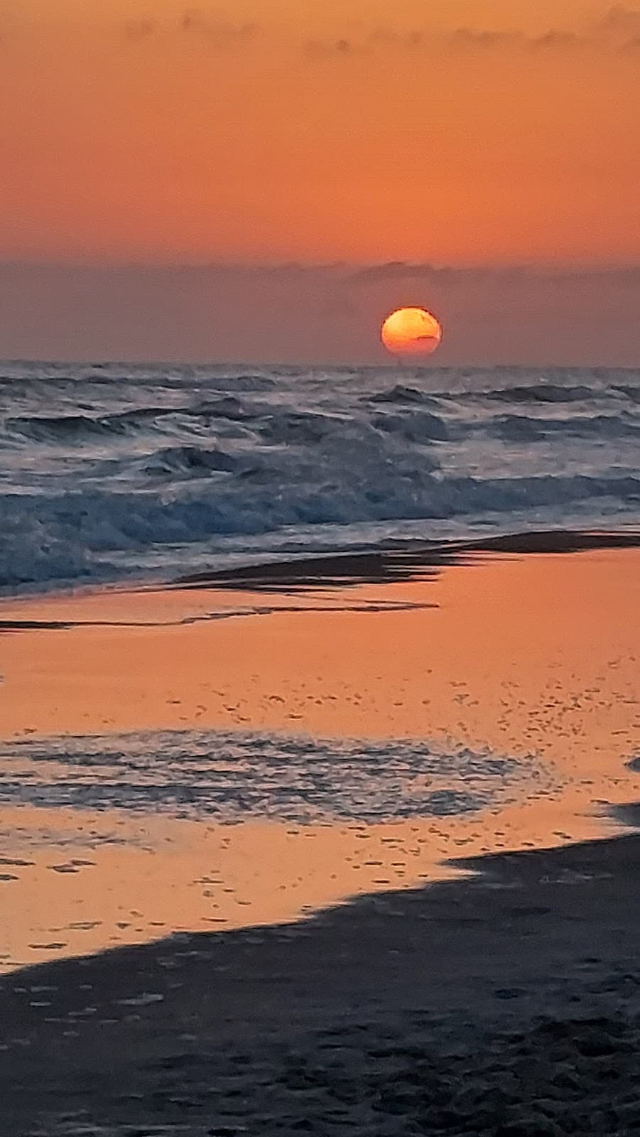 Spiaggia di Capocotta — foto 4