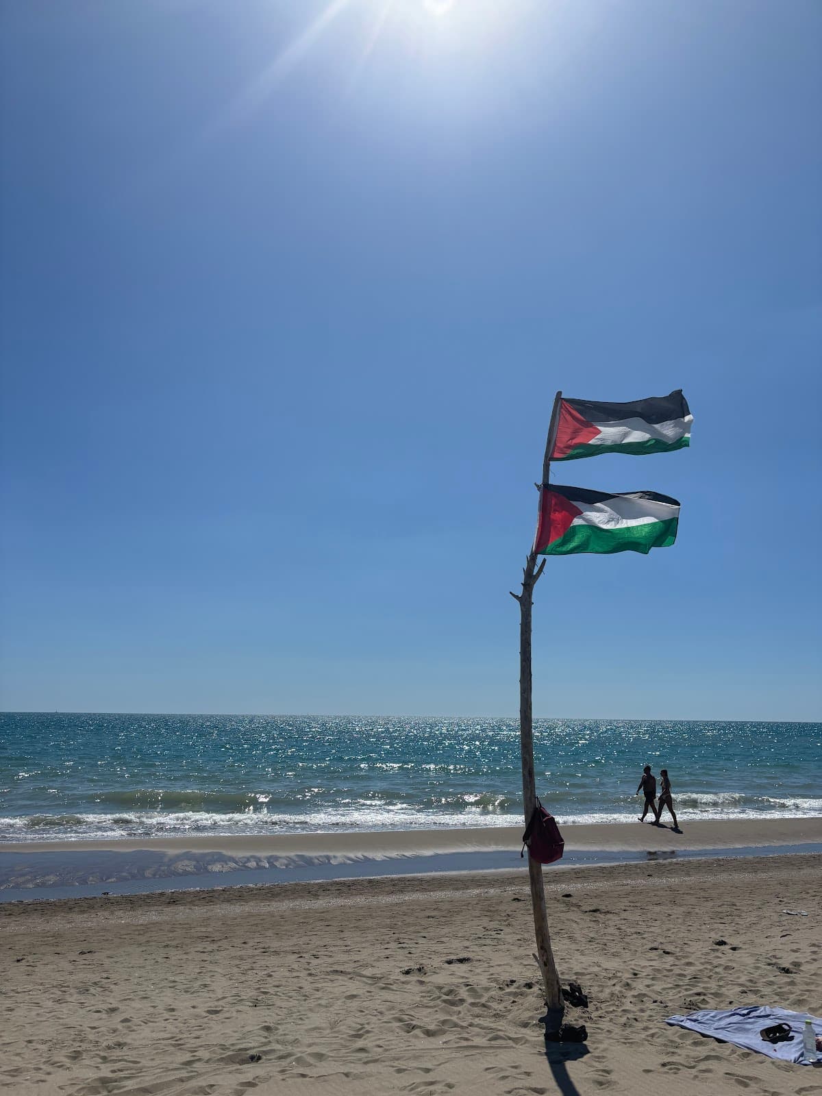 Spiaggia di Capocotta — foto 5