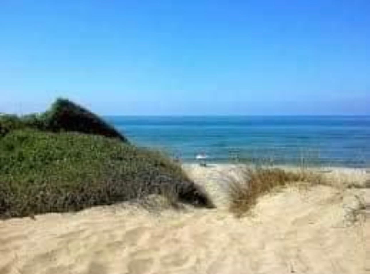Spiaggia di Castel Porziano — foto 2