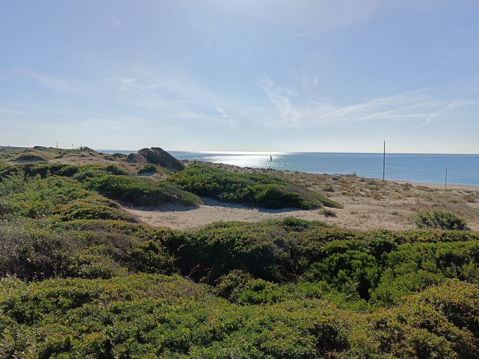 Spiaggia di Castel Porziano — foto 4