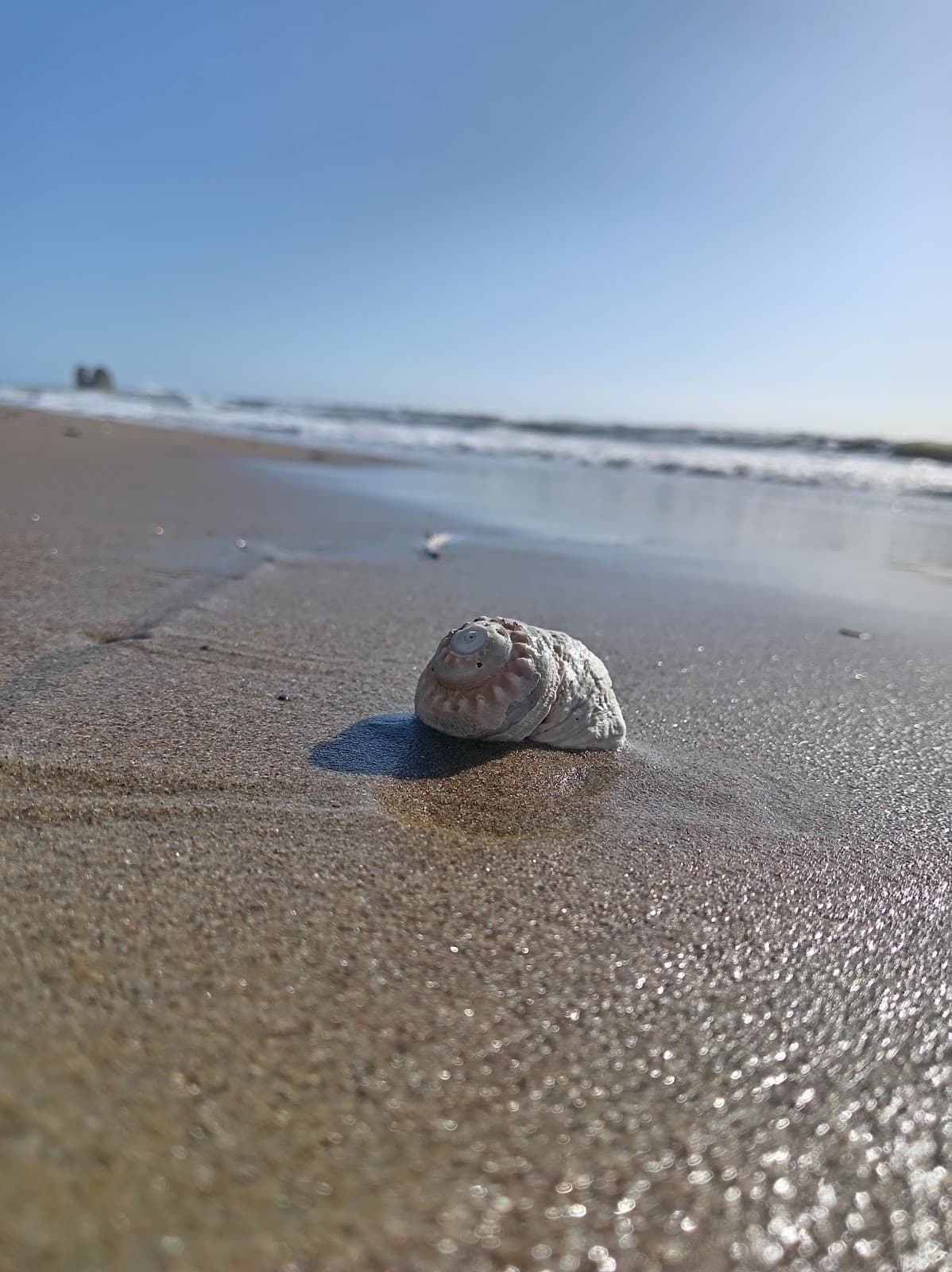 Spiaggia di Cerveteri — foto 4