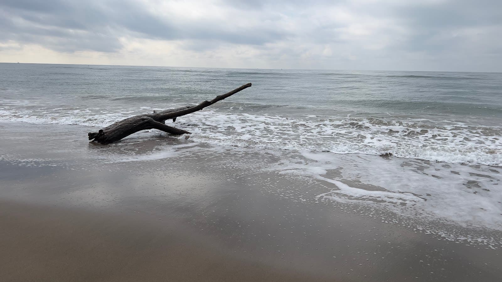 Spiaggia di Cerveteri — foto 5