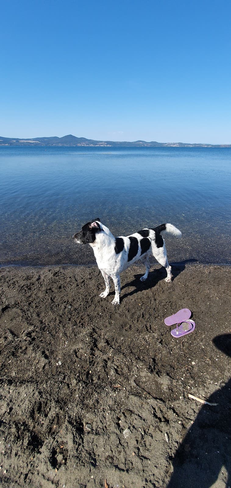 Spiaggia di Lago di Bracciano — foto 3