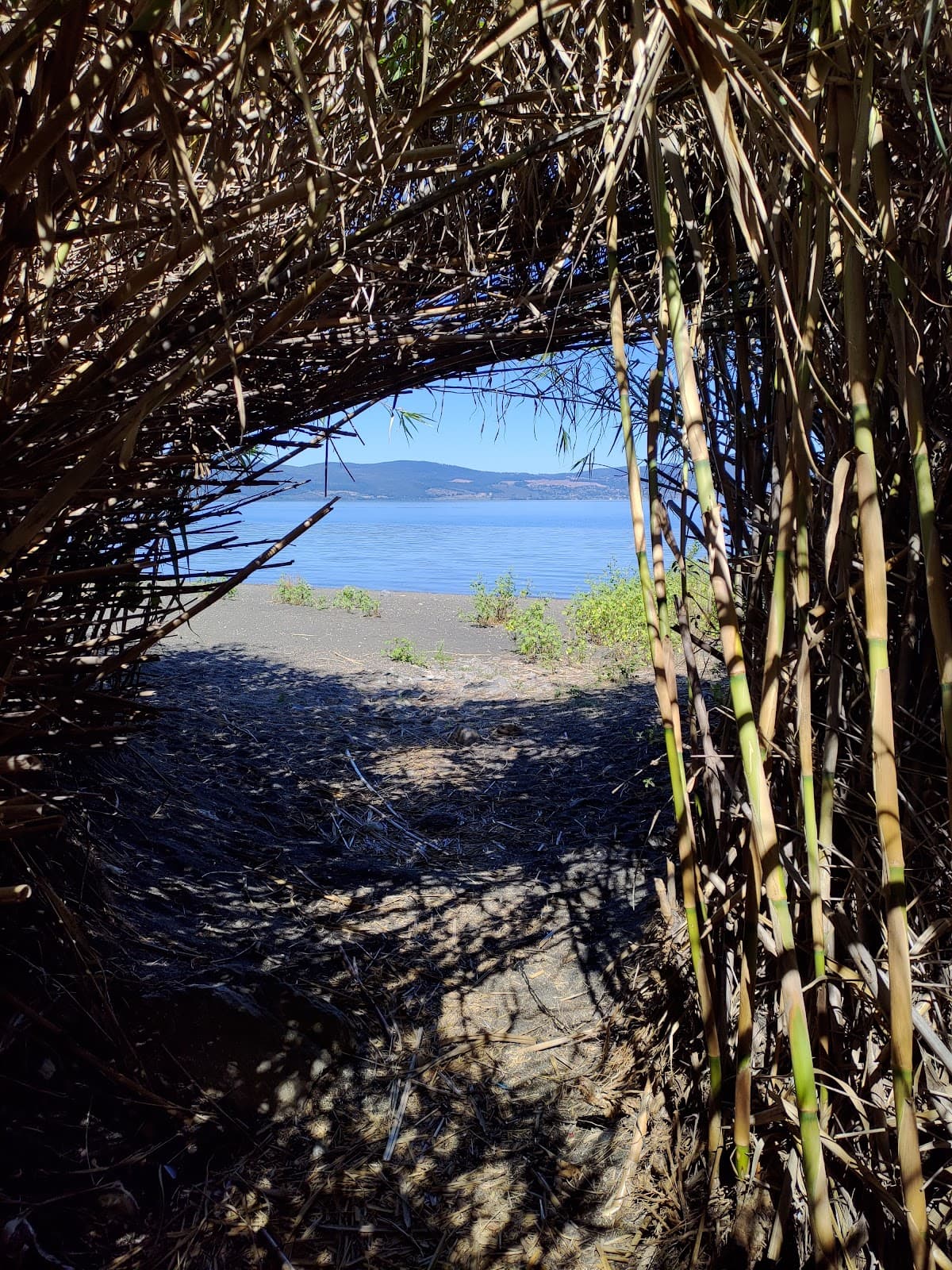Spiaggia di Lago di Bracciano — foto 4