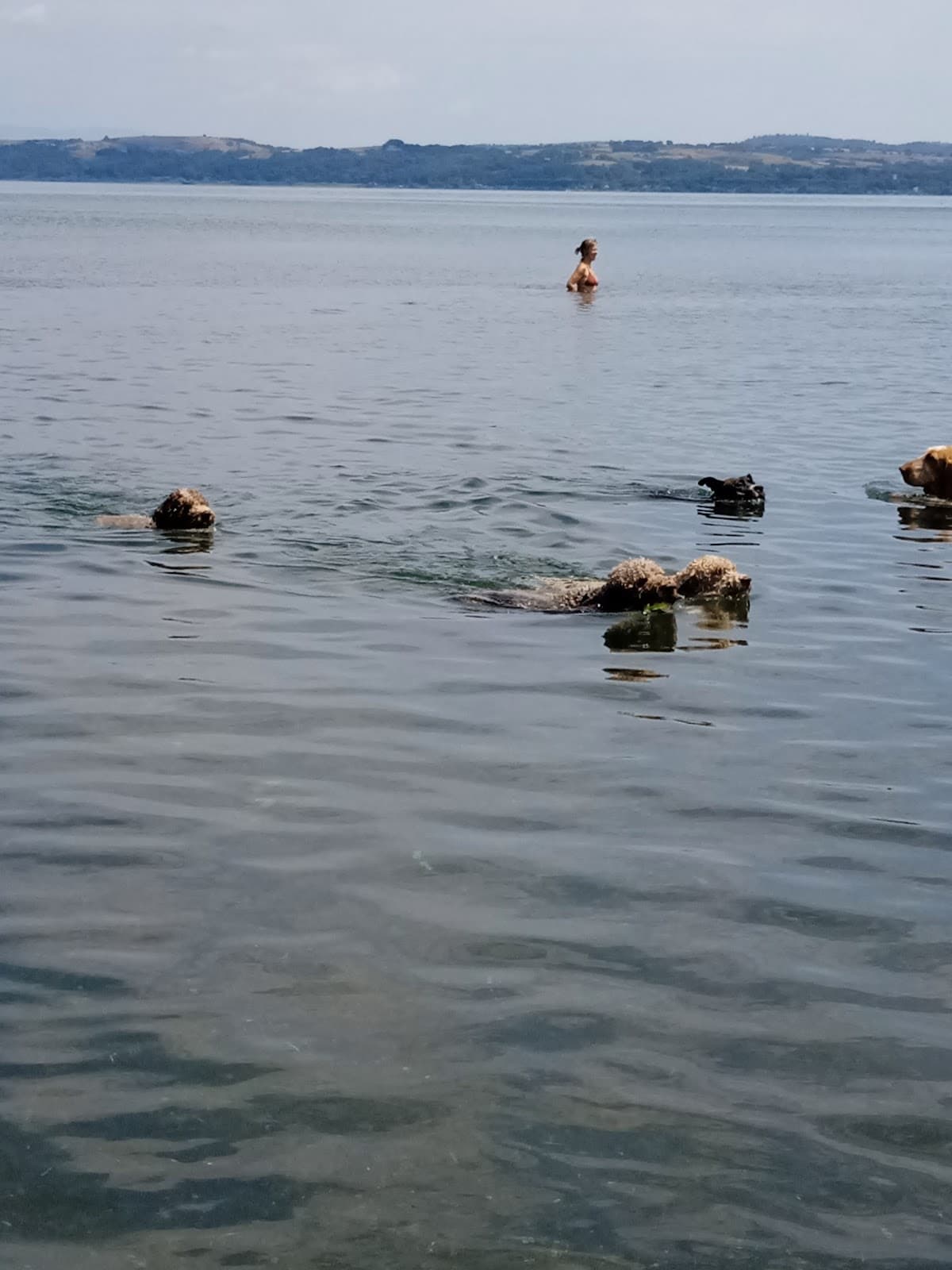 Spiaggia di Lago di Bracciano — foto 5