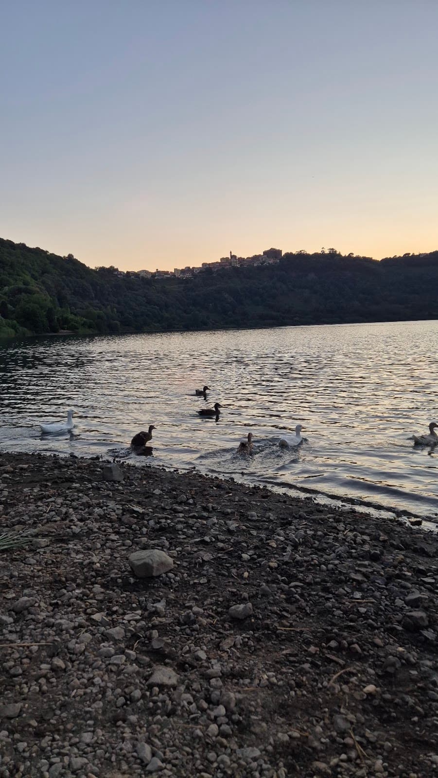 Spiaggia di Lago di Nemi — foto 4