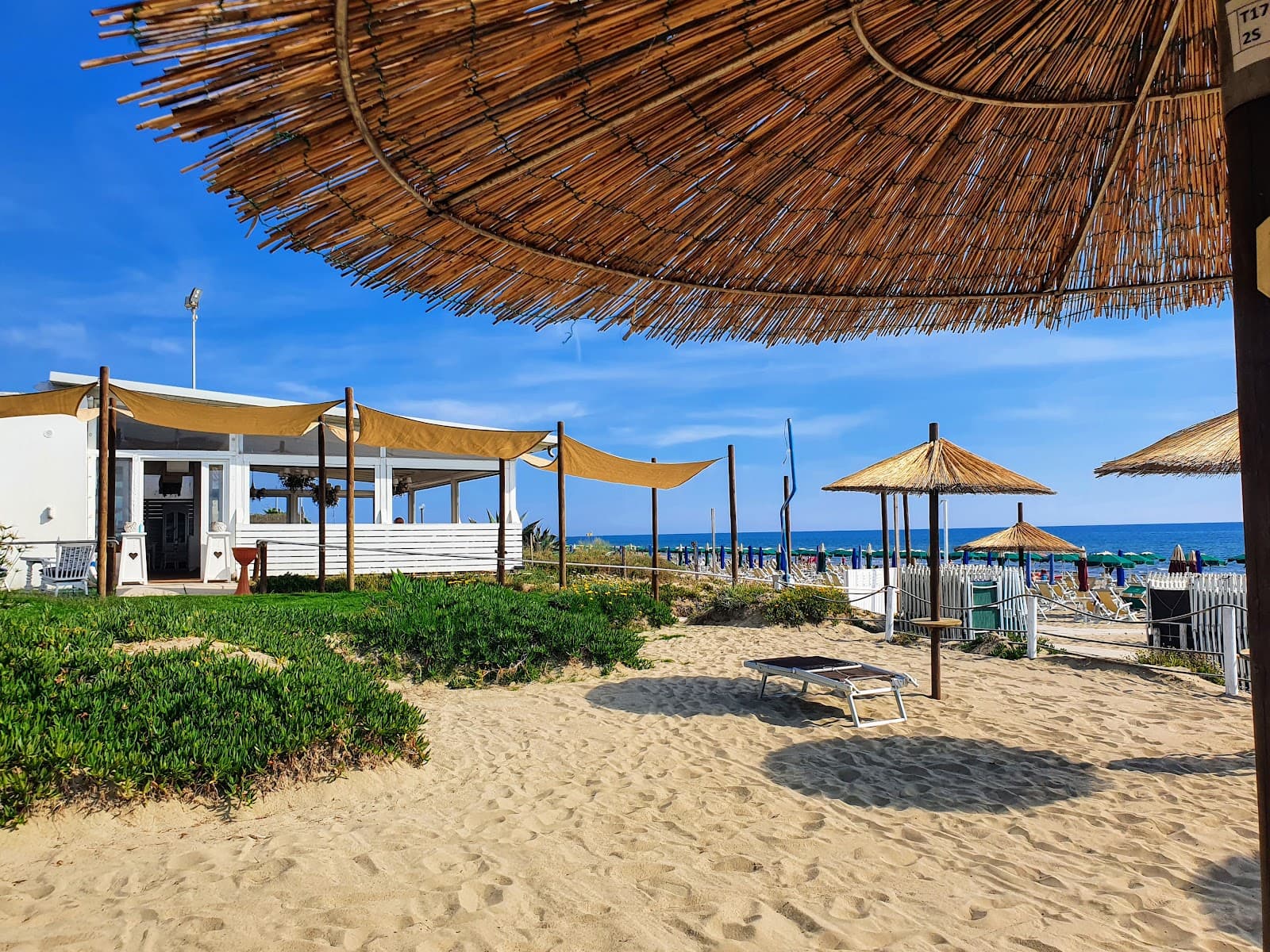 Spiaggia di Lido dei Pini — foto 3