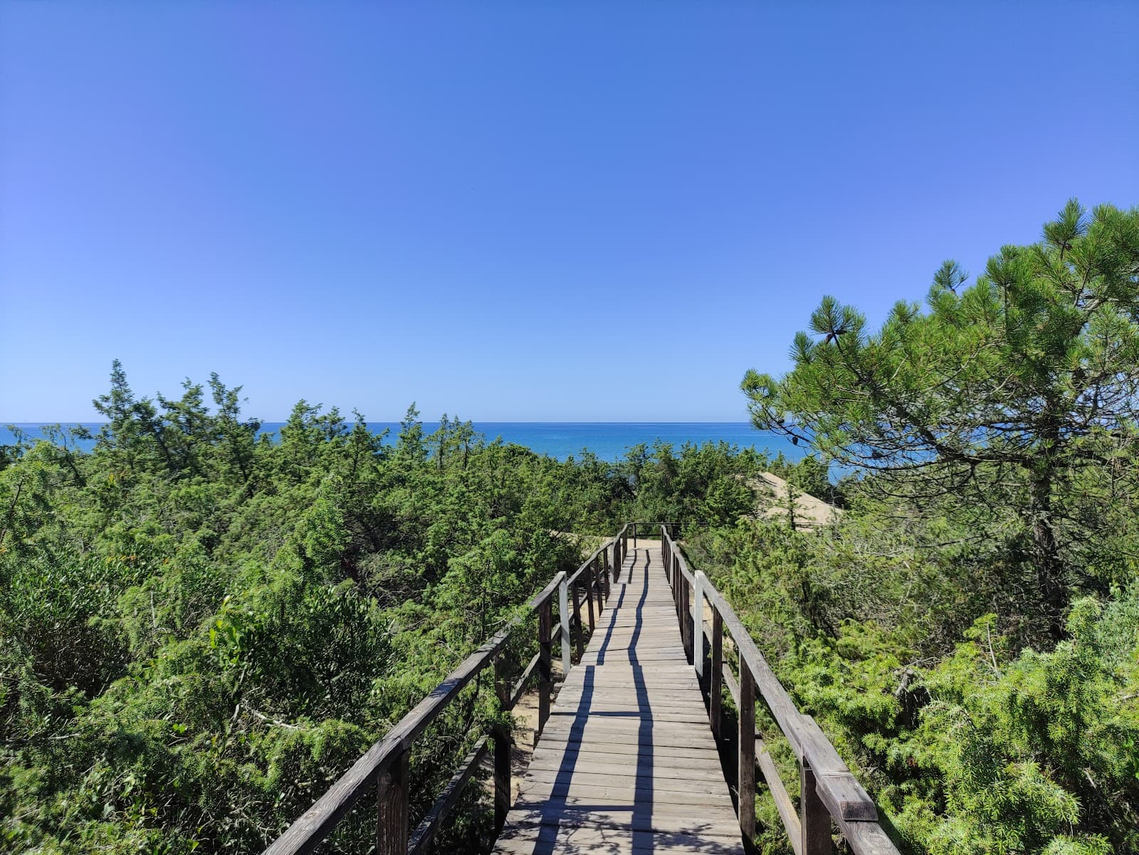 Spiaggia di Sabaudia — foto 2