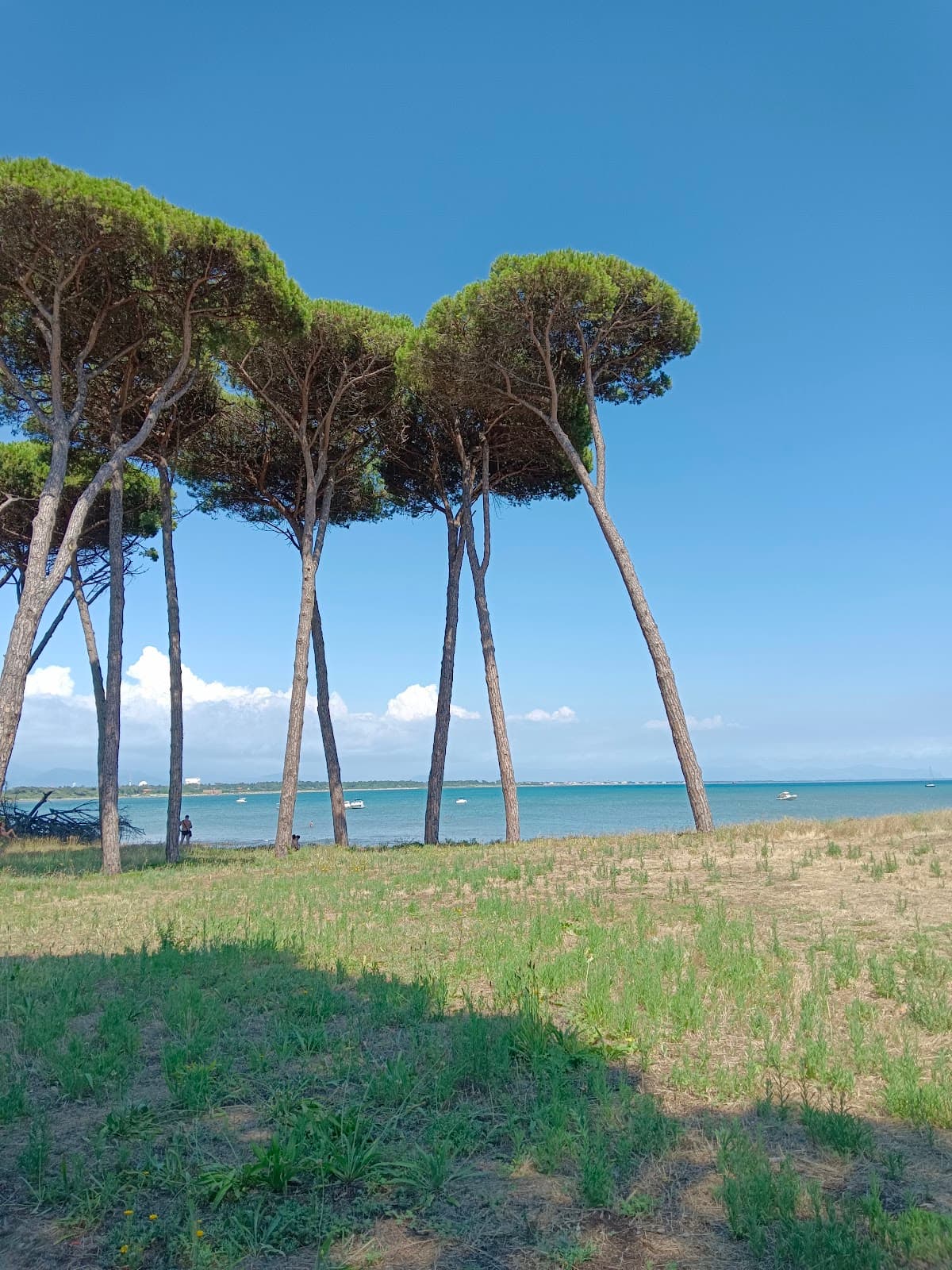 Spiaggia di Torre Astura — foto 3